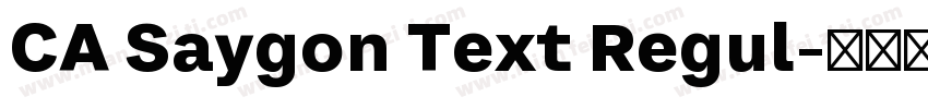 CA Saygon Text Regul字体转换